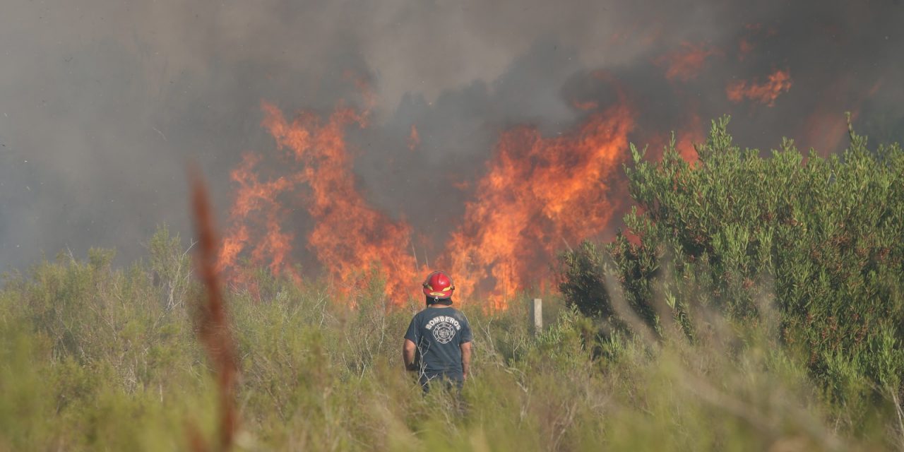 Cinco incendios forestales se produjeron en Canelones 