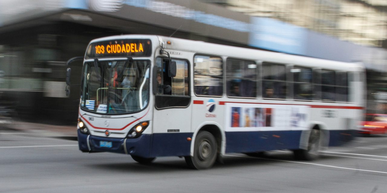Director de Movilidad de IM afirmó que el sistema de transporte sufre “la peor crisis de la historia”