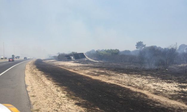 Incendios: en el Fortín está controlado, en Paysandú y Río Negro hay 4 mil hectáreas afectadas