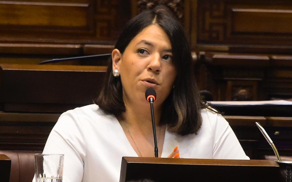 Diputada Díaz dijo que en Inisa hay «una falta de conducción total» tras desvinculación de la vicepresidenta Etcheverry