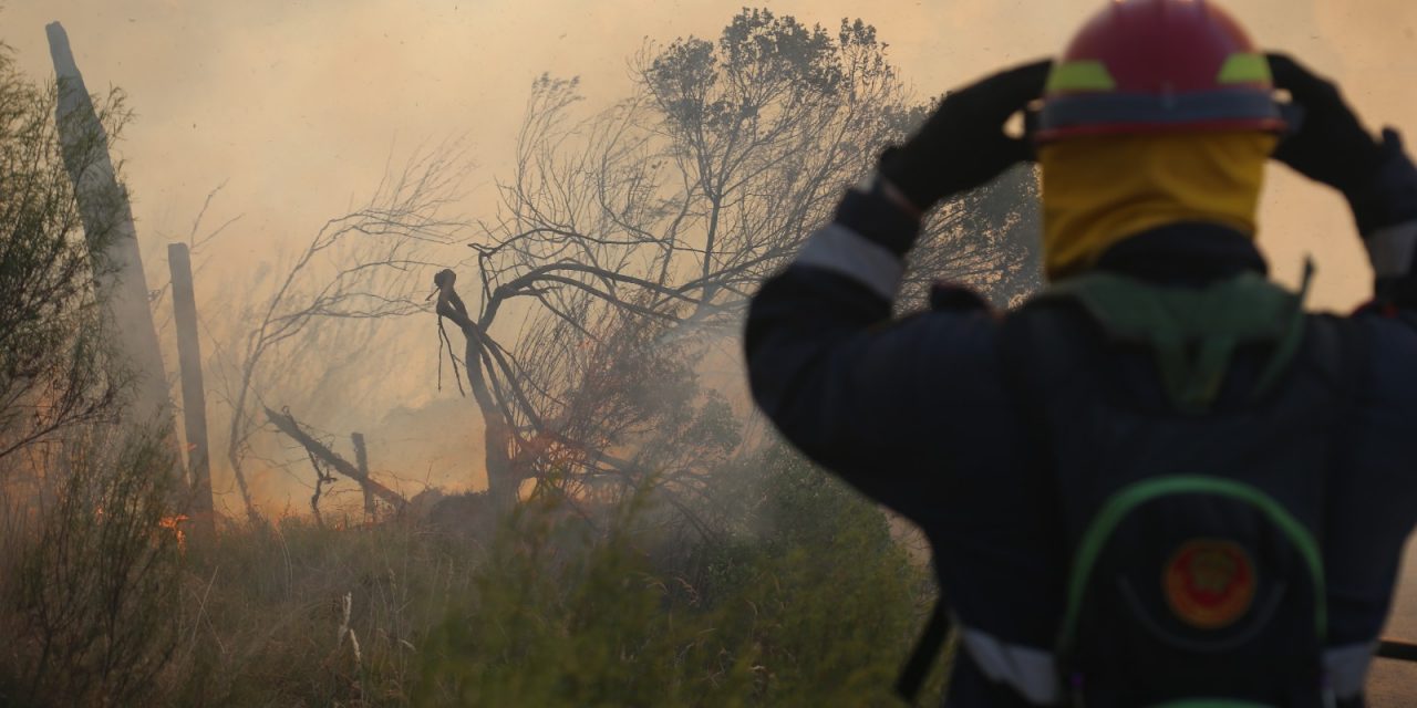 Incendios forestales en Paysandú: Bomberos declararon que cinco focos fueron intencionales