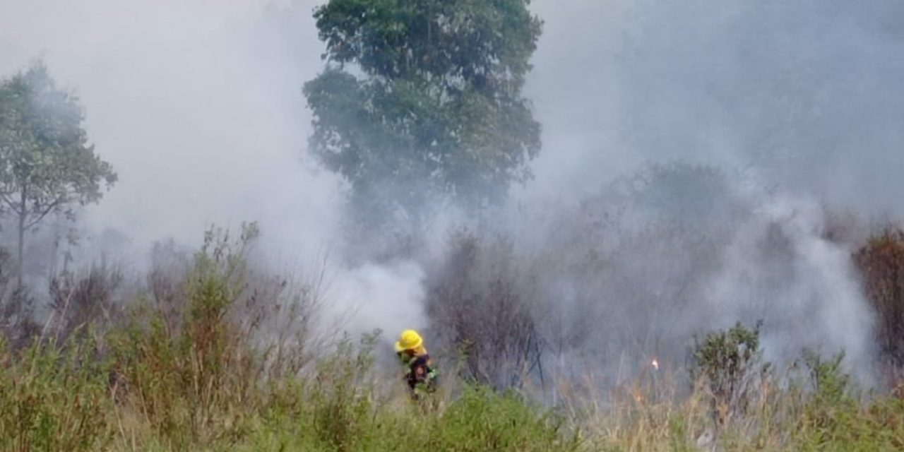 Incendio controlado pero no extinguido en Río Negro y Paysandú: se quemaron más de 22.000 hectáreas