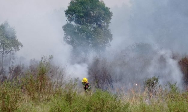 Incendio controlado pero no extinguido en Río Negro y Paysandú: se quemaron más de 22.000 hectáreas