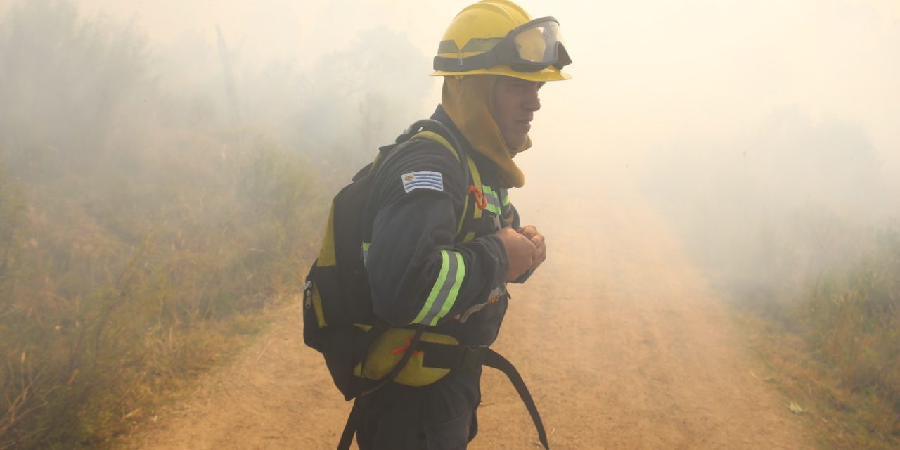 Uruguay en «riesgo muy alto» de incendios forestales