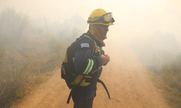 Uruguay en «riesgo muy alto» de incendios forestales