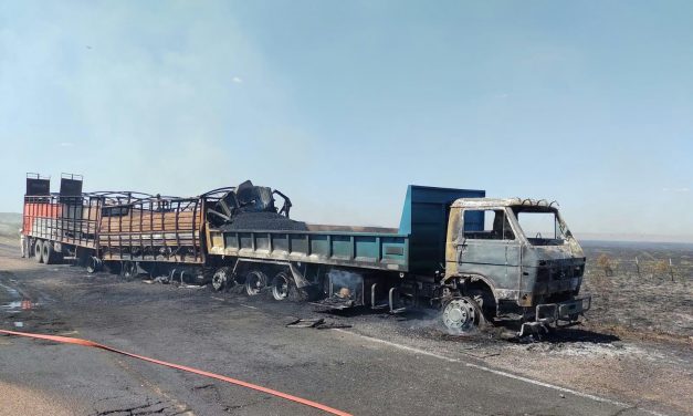 Accidentes fatales de camiones: «la piedra en el zapato» del Ministerio de Transporte y la «preocupación» del sindicato