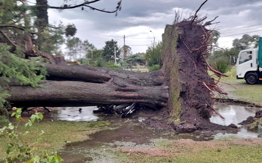 En Mercedes hubo una «corriente descendente», más destructiva que un tornado en Uruguay