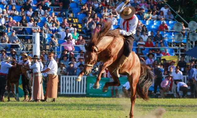 Semana Criolla: se realizó cambios para que caballos “sean cuidados” durante jineteadas, dijo Cosse