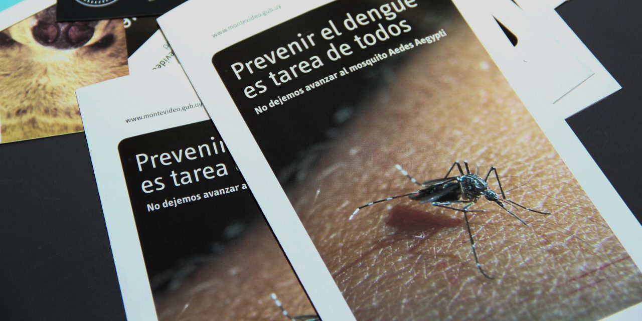 Turismo: medidas preventivas del MSP ante Aedes aegypti, ofidios, hantavirus y picaduras de arañas