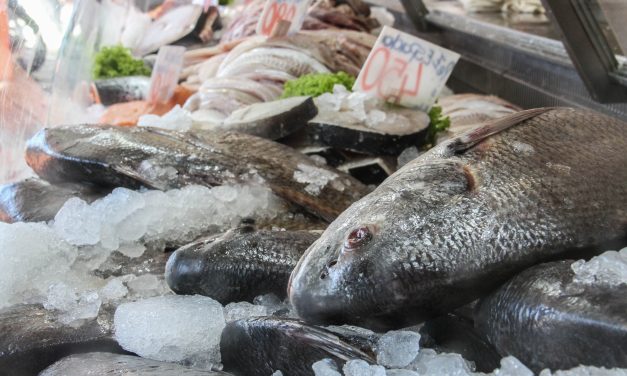 Cámara Pesquera indica que «probablemente falte» pescado «pero menos de lo que imaginábamos»