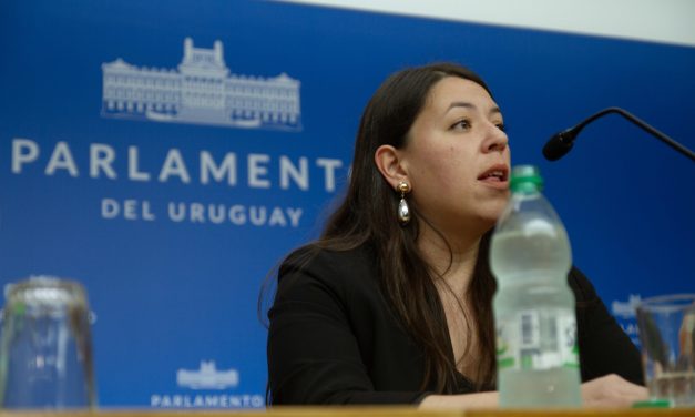 “El gobierno le tiene poco respeto al Parlamento” afirma diputada Díaz ante falta de información en tema precios