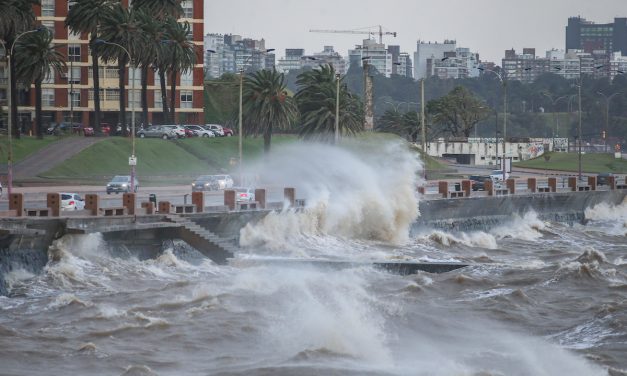 UTE informa que hay 10.700 servicios interrumpidos como consecuencia de los fuertes vientos