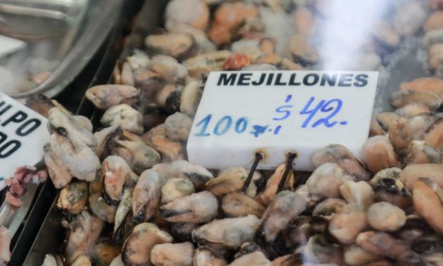 Prohíben la extracción y comercialización de mejillones en Maldonado por marea roja