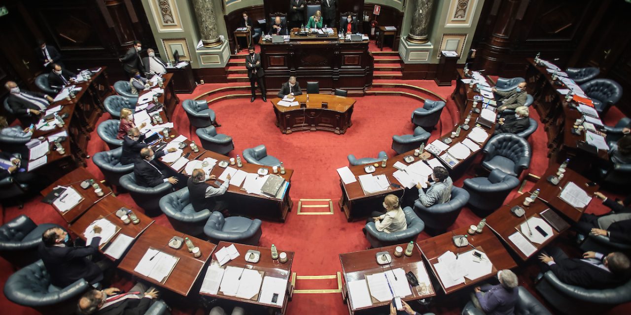 Senado vota tenencia compartida tras presiones, amenazas, discrepancias, dudas y debates políticos de última hora