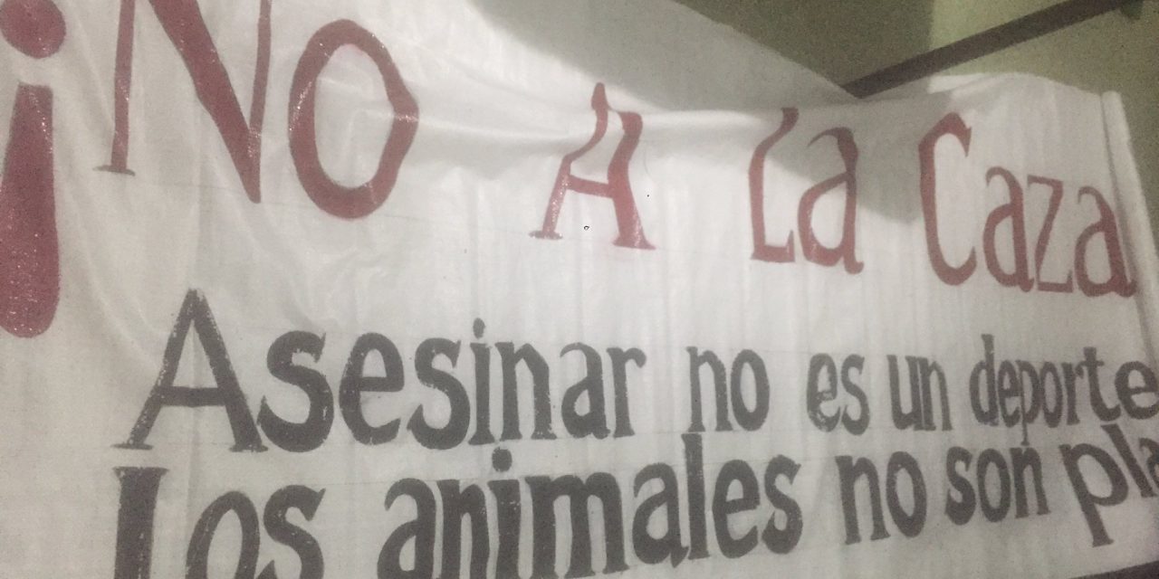 Animalistas entregaron carta en Torre Ejecutiva para pedir nulidad de decreto que habilita caza nocturna