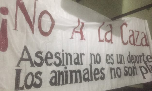 Animalistas entregaron carta en Torre Ejecutiva para pedir nulidad de decreto que habilita caza nocturna