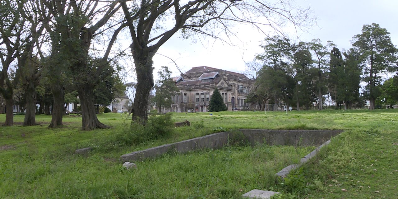 Alcaldesa del municipio CH propuso a UdelaR crear un «bosque urbano» en el predio donde estaba la Facultad de Veterinaria