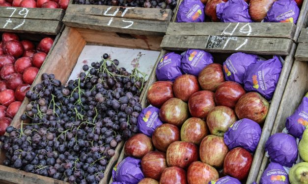 Intendencia de Montevideo beneficiará a cantinas de organismos públicos que hagan ofertas «saludables»