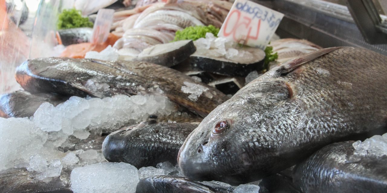 Peligra el abastecimiento de pescado para Semana Santa por paro en Ancap