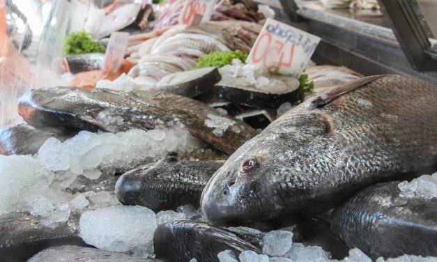 Peligra el abastecimiento de pescado para Semana Santa por paro en Ancap