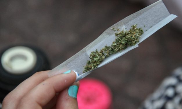 Cabildo Abierto propone revisar ley de marihuana; PN analizará el tema pero tras Rendición de Cuentas