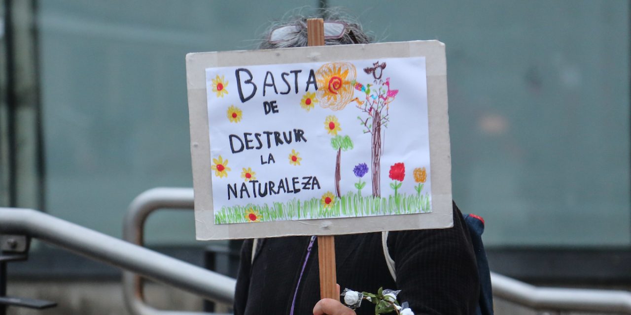 «El ambiente no cuenta en la rendición de cuentas», afirmó Movimiento por un Uruguay Sustentable