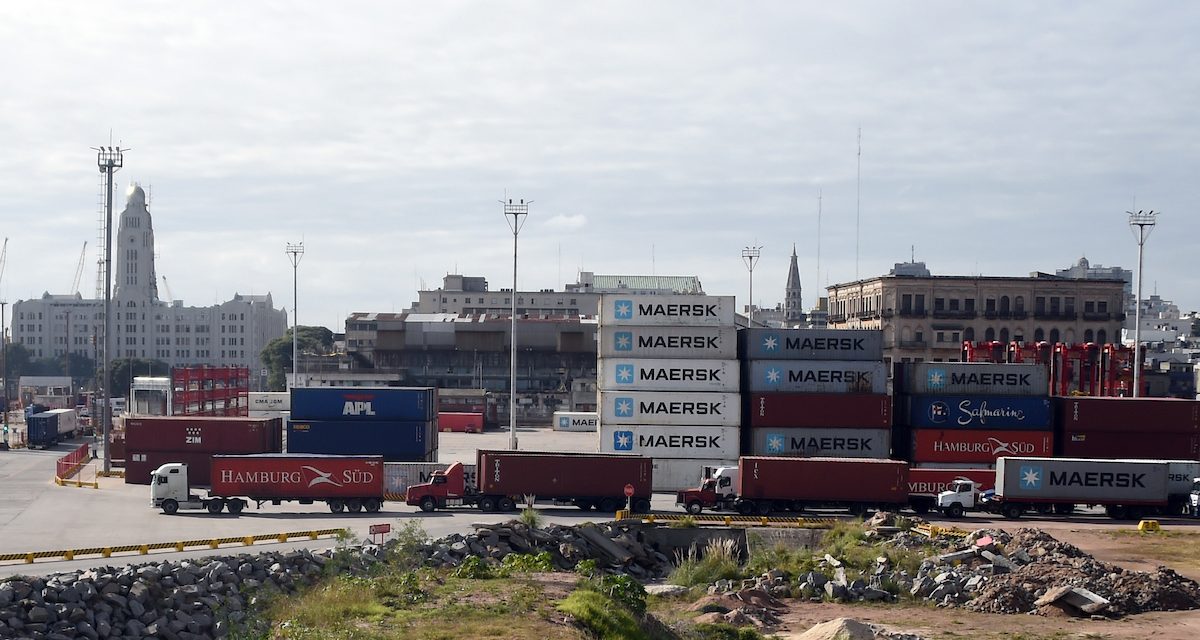 Droga incautada en Puerto de Montevideo tiene un valor de 25 millones de dólares