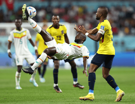 Países Bajos y Senegal a octavos por el Grupo A; Ecuador afuera
