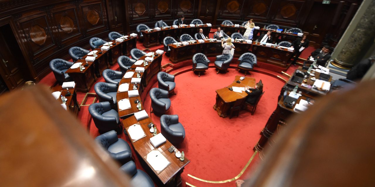 En Vivo: El Senado analiza la rebaja del IRPF y el IASS