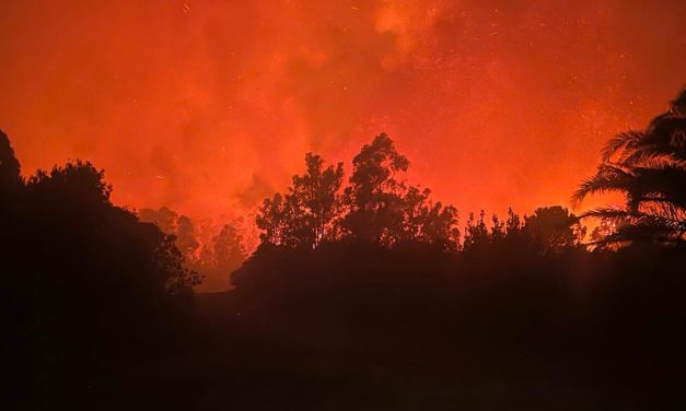 Incendio en Cerro del Toro está controlado pero arrasó con 280 hectáreas