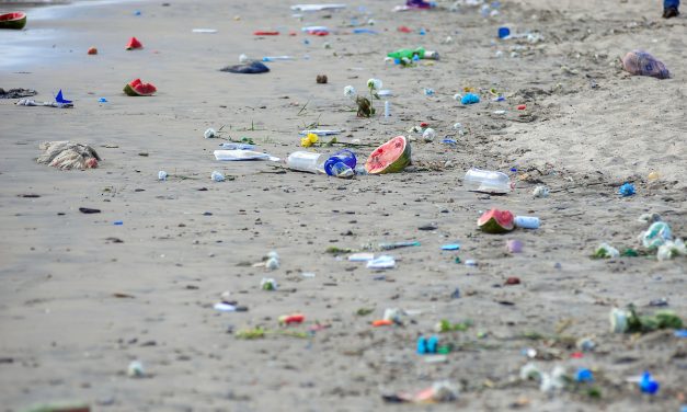 Más de 50 personas participaron en el operativo especial de limpieza de playas en Montevideo por Iemanjá
