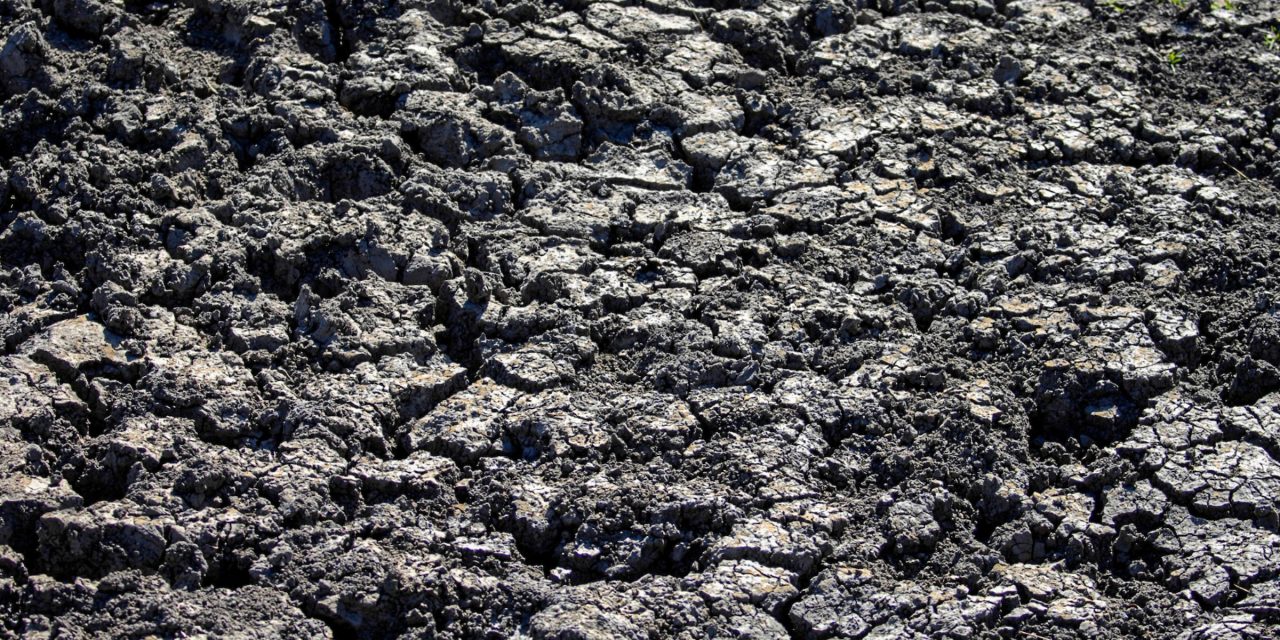 Sequías e inundaciones serán “cada vez peores” desde 2025, según consultor medioambiental