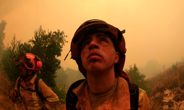 Chile: 24 muertos, 1.000 heridos y 10 detenidos por incendios forestales