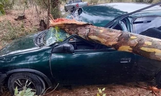 Fuertes vientos en San Gregorio de Polanco dañó viviendas y tendido eléctrico