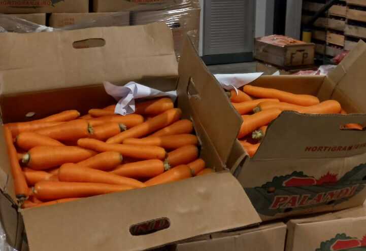 Se comenzó a importar zanahorias ante sequía porque la situación es «una catástrofe» 