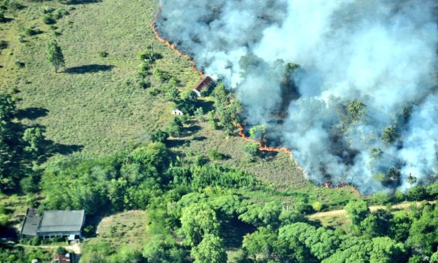 Fue controlado el incendio que afectó un predio cercano a la ex Colonia Etchepare