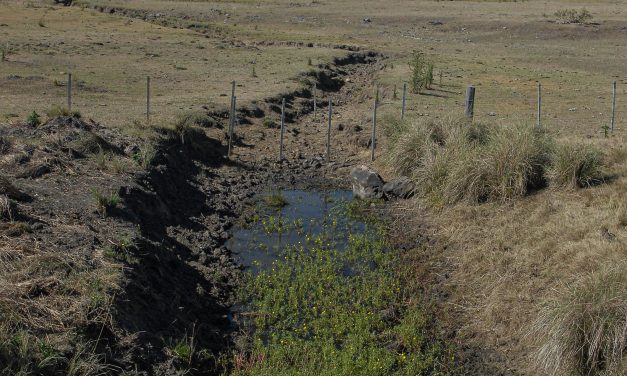 Intendencia de Maldonado apoya a Minas con el envío de agua potable