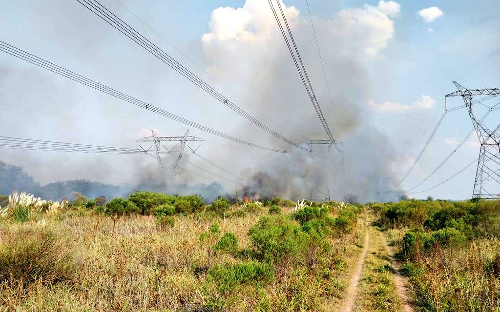 Apagón masivo en gran parte de Argentina por incendio que afectó central nuclear