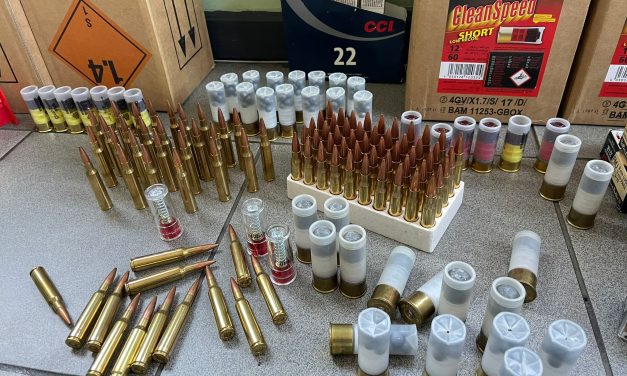 Un alemán y un suizo fueron imputados por el cargamento de armas hallado en el puerto