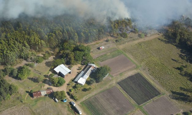 Bomberos combate incendio en barrio privado de la Tahona que afectó viviendas