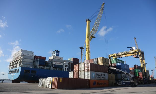 Aduanas registra 8% de contenedores; con tres nuevos escáneres se llegará al 75%