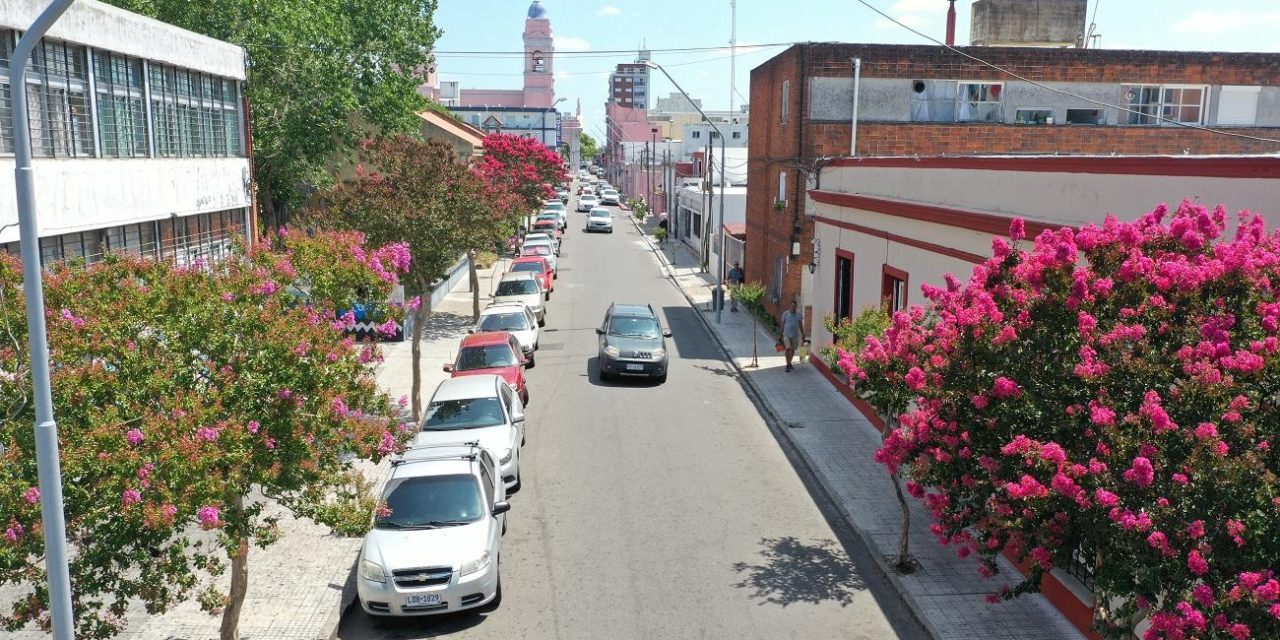 Intendente Antía busca concretar estacionamiento tarifado en Maldonado y Punta del Este