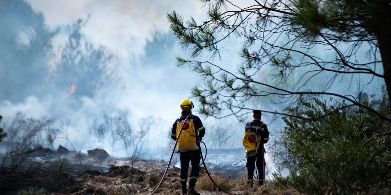 En 2022 se incendiaron menos hectáreas que en 2021 tras incorporación de tecnología