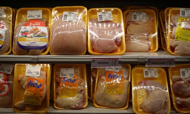 Precio del pollo subió hasta $ 5 por kilo y preocupa a los carniceros