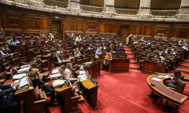 La Cámara de Diputados aprobó el proyecto de seguridad social y el Senado lo votará el jueves