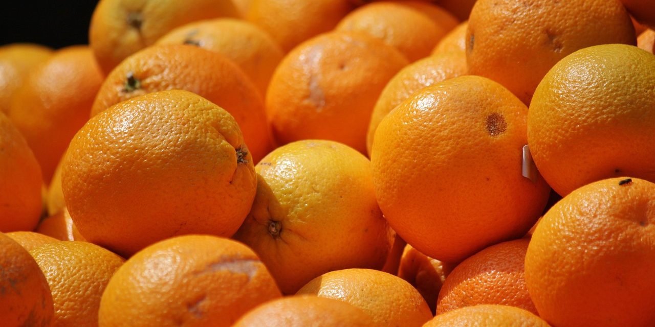 Unas 3500 familias quedarán sin trabajo de no renovarse el seguro de paro a trabajadores zafrales del citrus