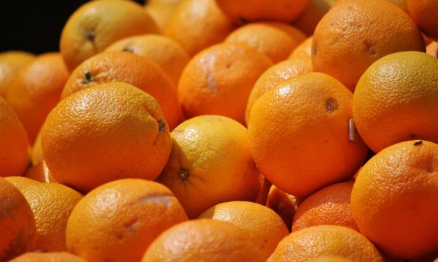 Unas 3500 familias quedarán sin trabajo de no renovarse el seguro de paro a trabajadores zafrales del citrus