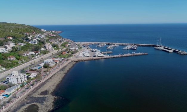 Puerto de cruceros en Piriápolis: “Hay que bajar la idea a tierra”, dijo intendente interino