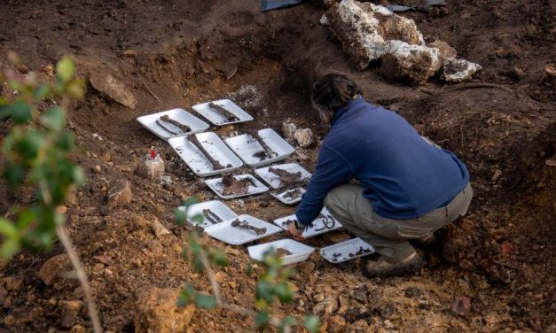 Restos hallados en el Batallón 14 pertenecen a una mujer