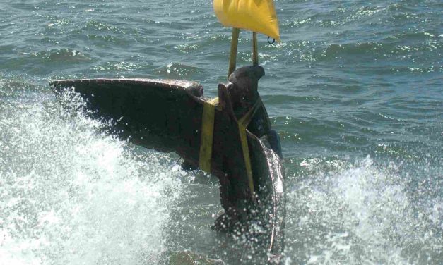 Etchegaray confirmó que prepara nuevo juicio contra el Estado para recuperar parte de los invertido en los trabajos en Graff Spee